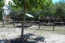 La_torre_del_sol15